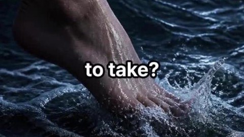 Getout of the boat